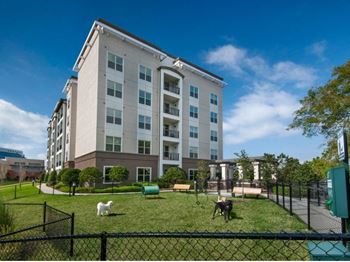 A dog park in front of a building